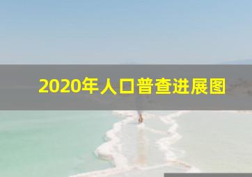 2020年人口普查进展图