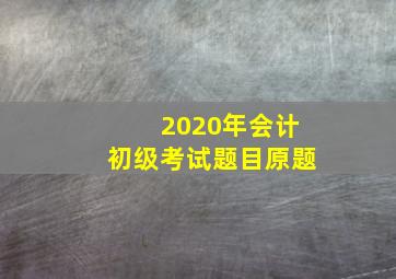 2020年会计初级考试题目原题