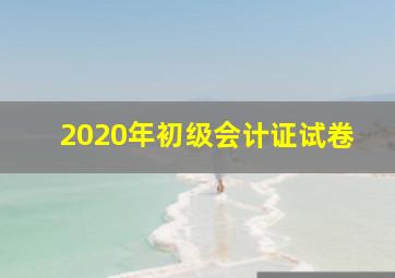 2020年初级会计证试卷