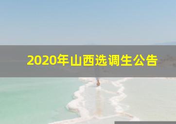 2020年山西选调生公告