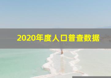 2020年度人口普查数据