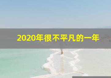 2020年很不平凡的一年