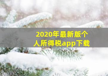 2020年最新版个人所得税app下载