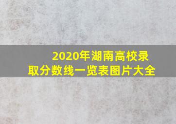 2020年湖南高校录取分数线一览表图片大全