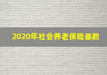 2020年社会养老保险基数