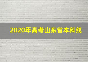 2020年高考山东省本科线