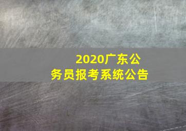 2020广东公务员报考系统公告