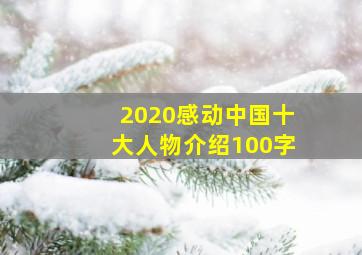 2020感动中国十大人物介绍100字