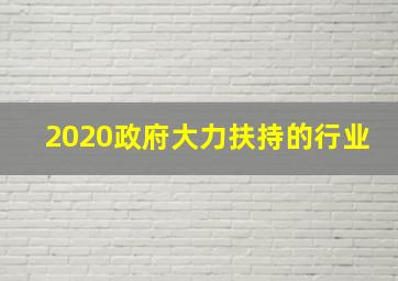 2020政府大力扶持的行业