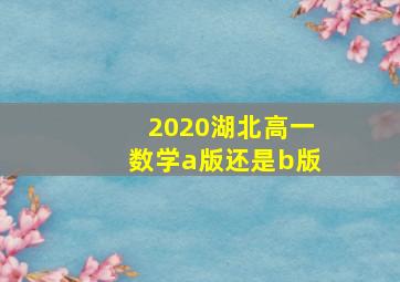 2020湖北高一数学a版还是b版