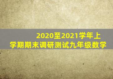 2020至2021学年上学期期末调研测试九年级数学