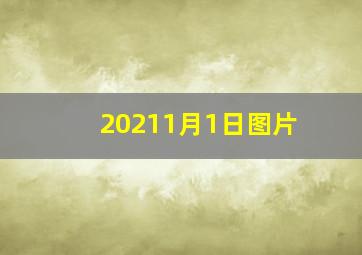 20211月1日图片