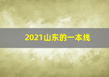 2021山东的一本线