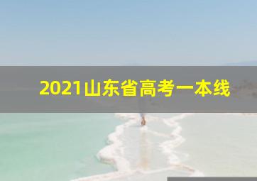 2021山东省高考一本线