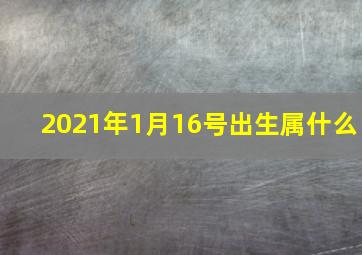 2021年1月16号出生属什么