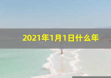 2021年1月1日什么年