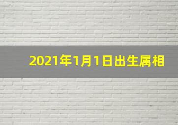 2021年1月1日出生属相