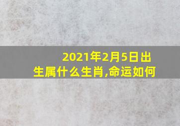 2021年2月5日出生属什么生肖,命运如何