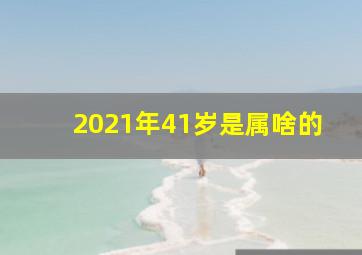 2021年41岁是属啥的