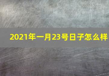 2021年一月23号日子怎么样