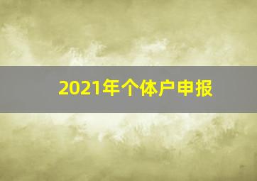 2021年个体户申报