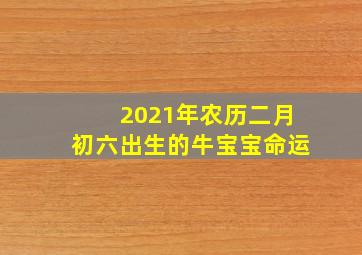 2021年农历二月初六出生的牛宝宝命运