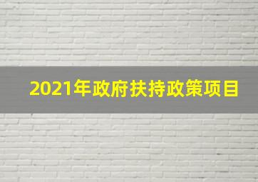 2021年政府扶持政策项目