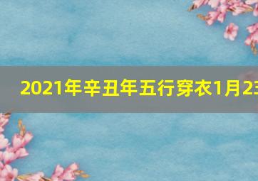 2021年辛丑年五行穿衣1月23