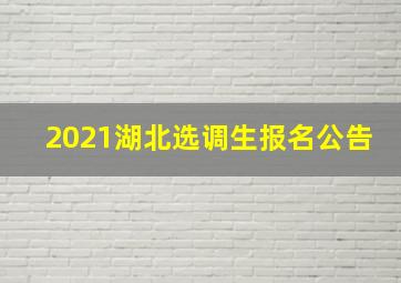 2021湖北选调生报名公告