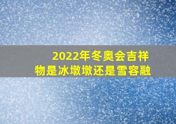 2022年冬奥会吉祥物是冰墩墩还是雪容融