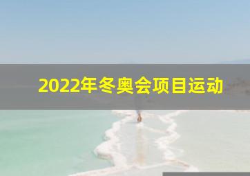 2022年冬奥会项目运动