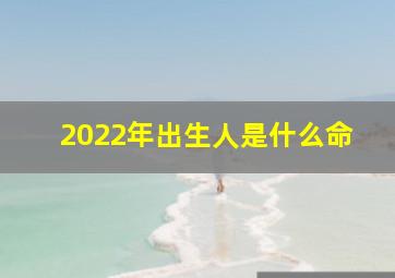 2022年出生人是什么命