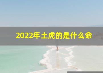 2022年土虎的是什么命