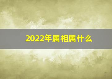 2022年属相属什么