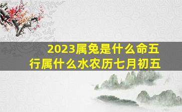 2023属兔是什么命五行属什么水农历七月初五