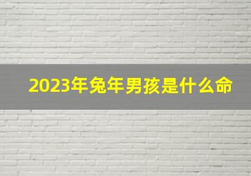 2023年兔年男孩是什么命