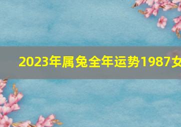 2023年属兔全年运势1987女