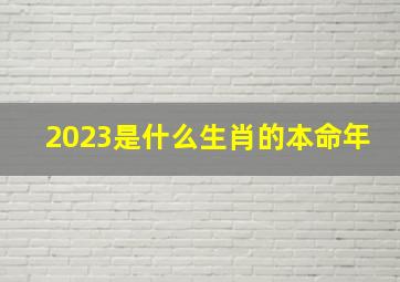 2023是什么生肖的本命年