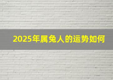 2025年属兔人的运势如何