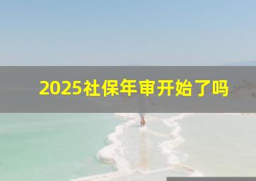 2025社保年审开始了吗