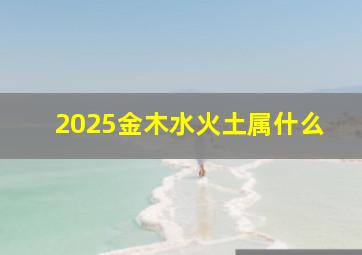 2025金木水火土属什么