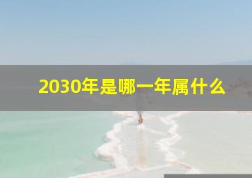 2030年是哪一年属什么