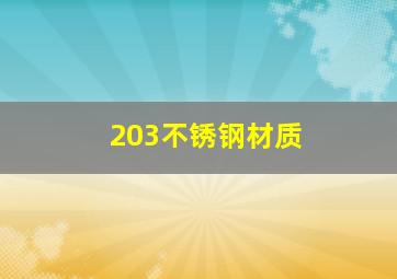 203不锈钢材质