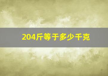 204斤等于多少千克