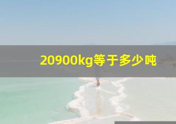 20900kg等于多少吨