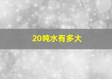 20吨水有多大