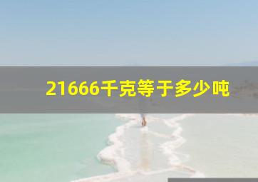 21666千克等于多少吨