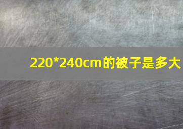 220*240cm的被子是多大