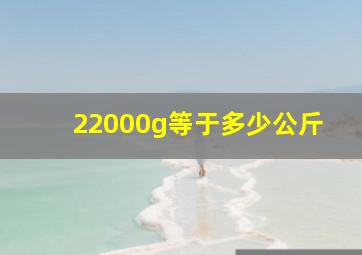 22000g等于多少公斤