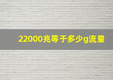 22000兆等于多少g流量